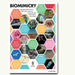Biomimicry examples poster with school logo