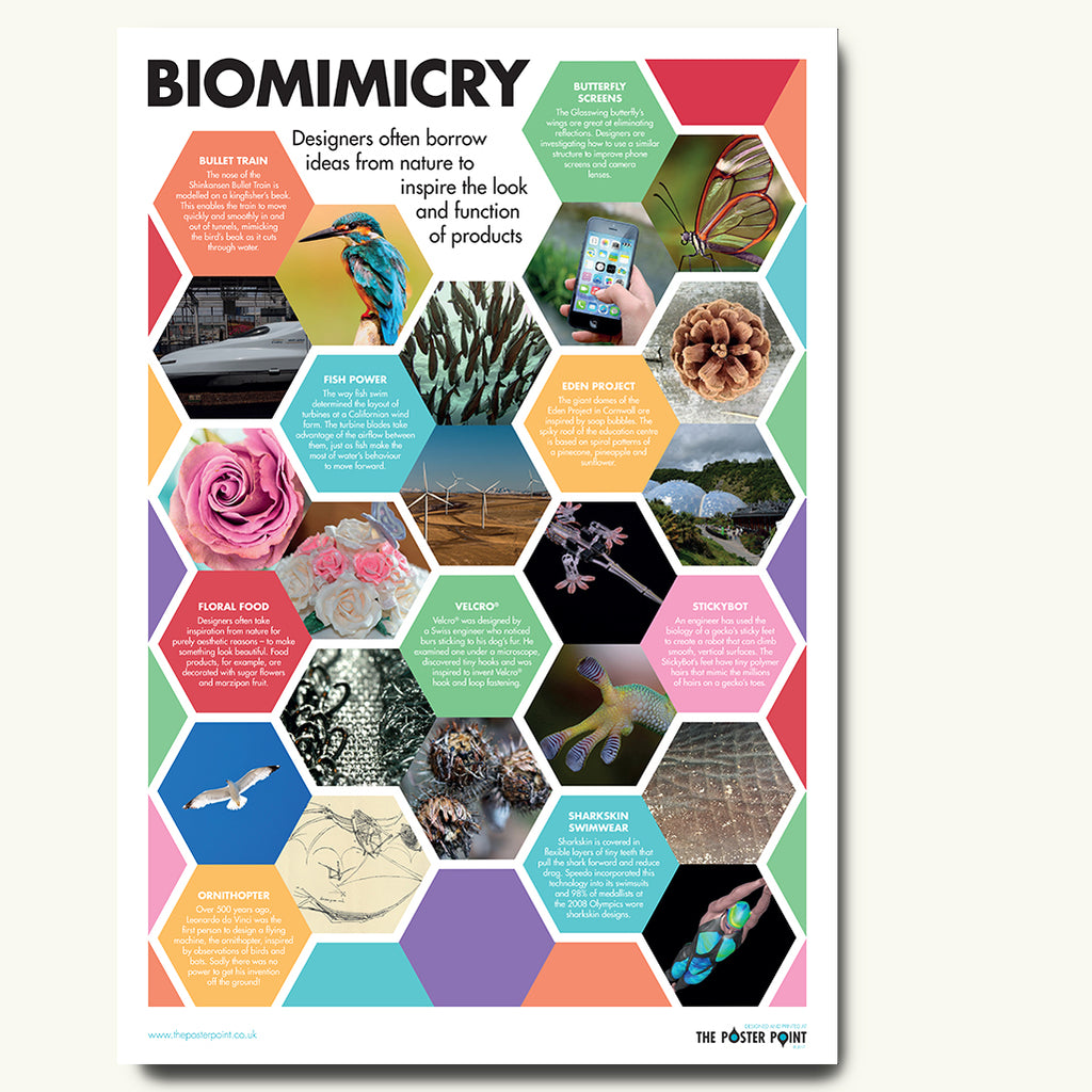 Biomimicry examples poster