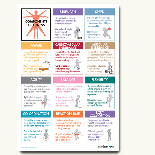 Components of fitness poster