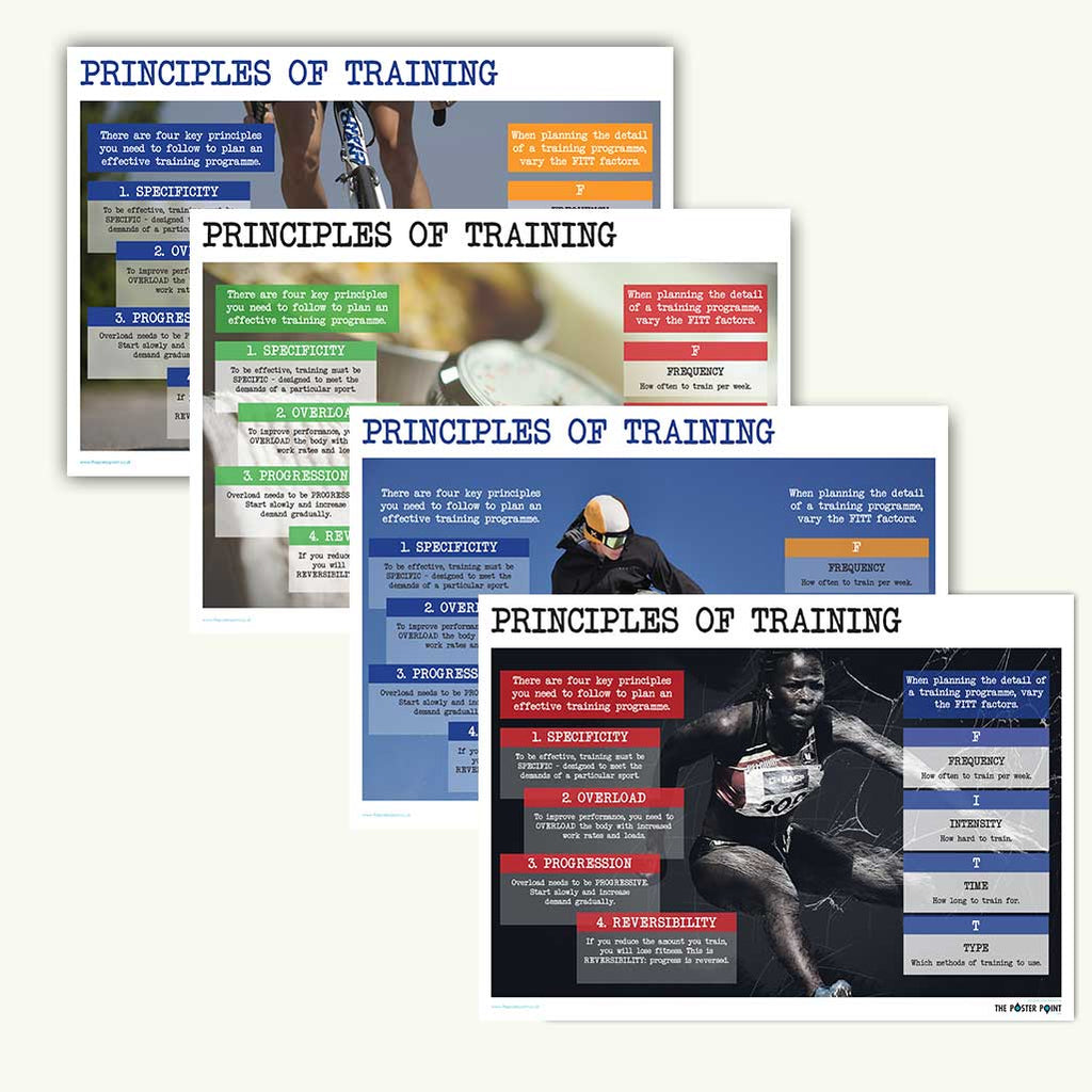 Principles of training bundle of posters